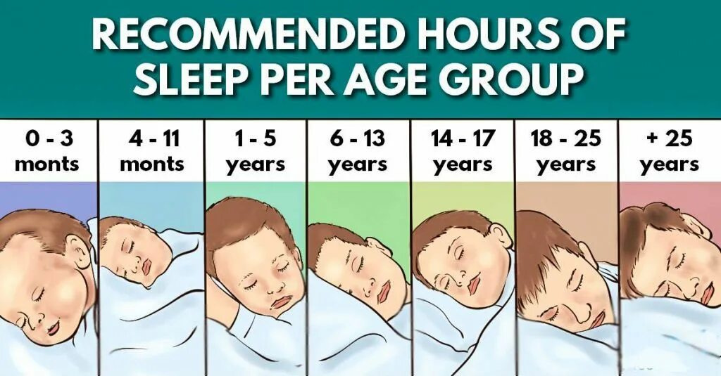 Hours of Sleep. National Sleep Foundation нормы сна. Сон час. Recommended Sleep. When do you sleep