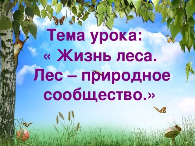 Доклад на тему природное сообщество. Природное сообщество лес презентация. Природные сообщества 4 лес. Урок лес природное сообщество. Природное сообщество лес 4 класс.