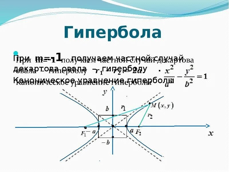 Определение функции гиперболы. Определение функции гиперболы
