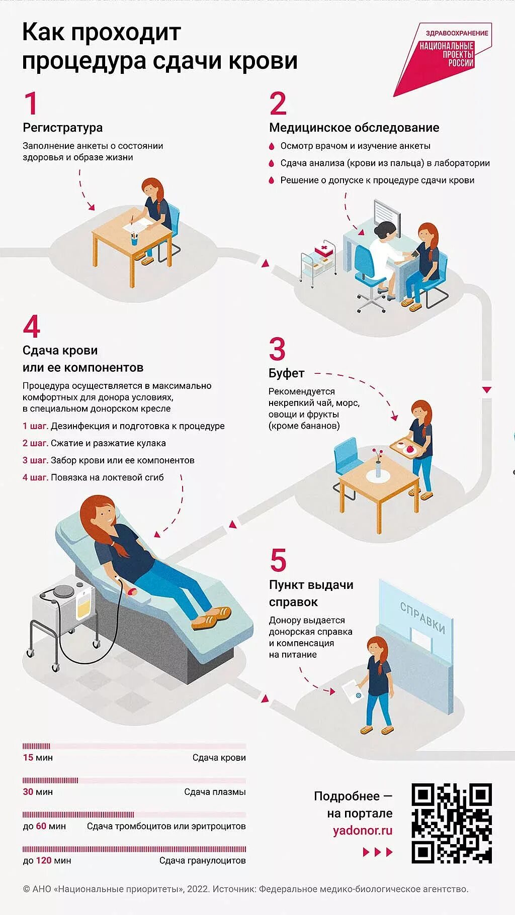Сама донор. Процедура сдачи крови на донорство. Как проходит процедура сдачи крови. Здача кровь на донарства. Забор донорской крови процедура.