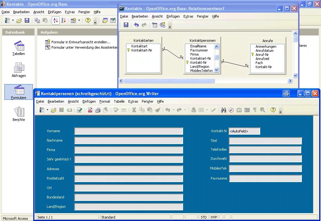 Опен офис поля. СУБД OPENOFFICE Base. OPENOFFICE база данных. Базы данных OPENOFFICE Base. Форма базы данных OPENOFFICE Base.
