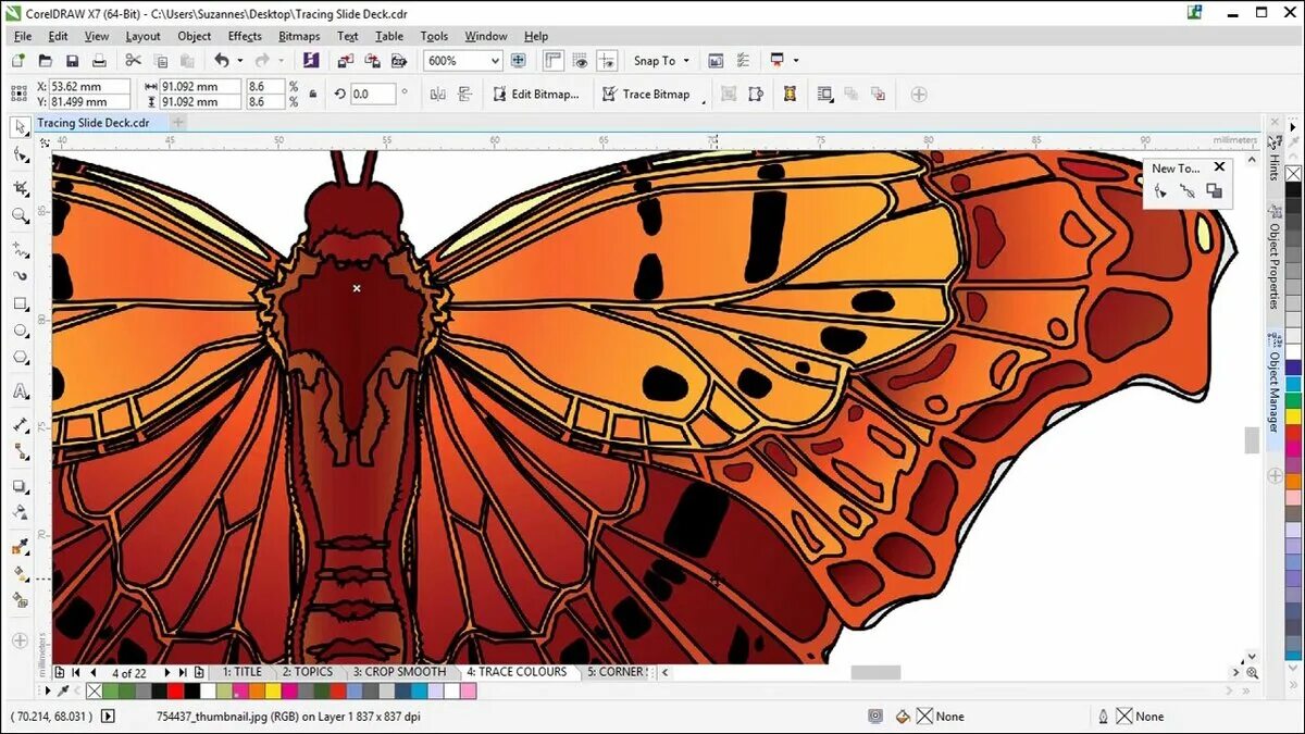 Corl. Изображения в coreldraw. Coreldraw компьютерная Графика. Векторная Графика coreldraw. Рисование в coreldraw.