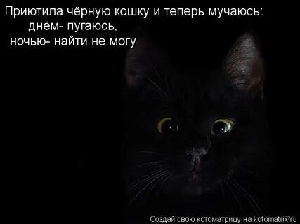 Мучайся теперь