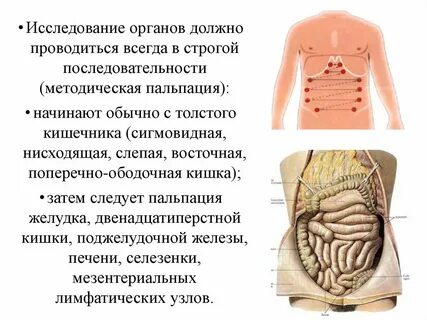 Какой орган должен