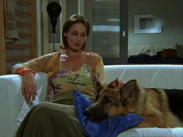 Комиссар рекс брандтнер. Комиссар рекс 7. Комиссар рекс 7. Комиссар рекс 7. Комиссар рекс 7.