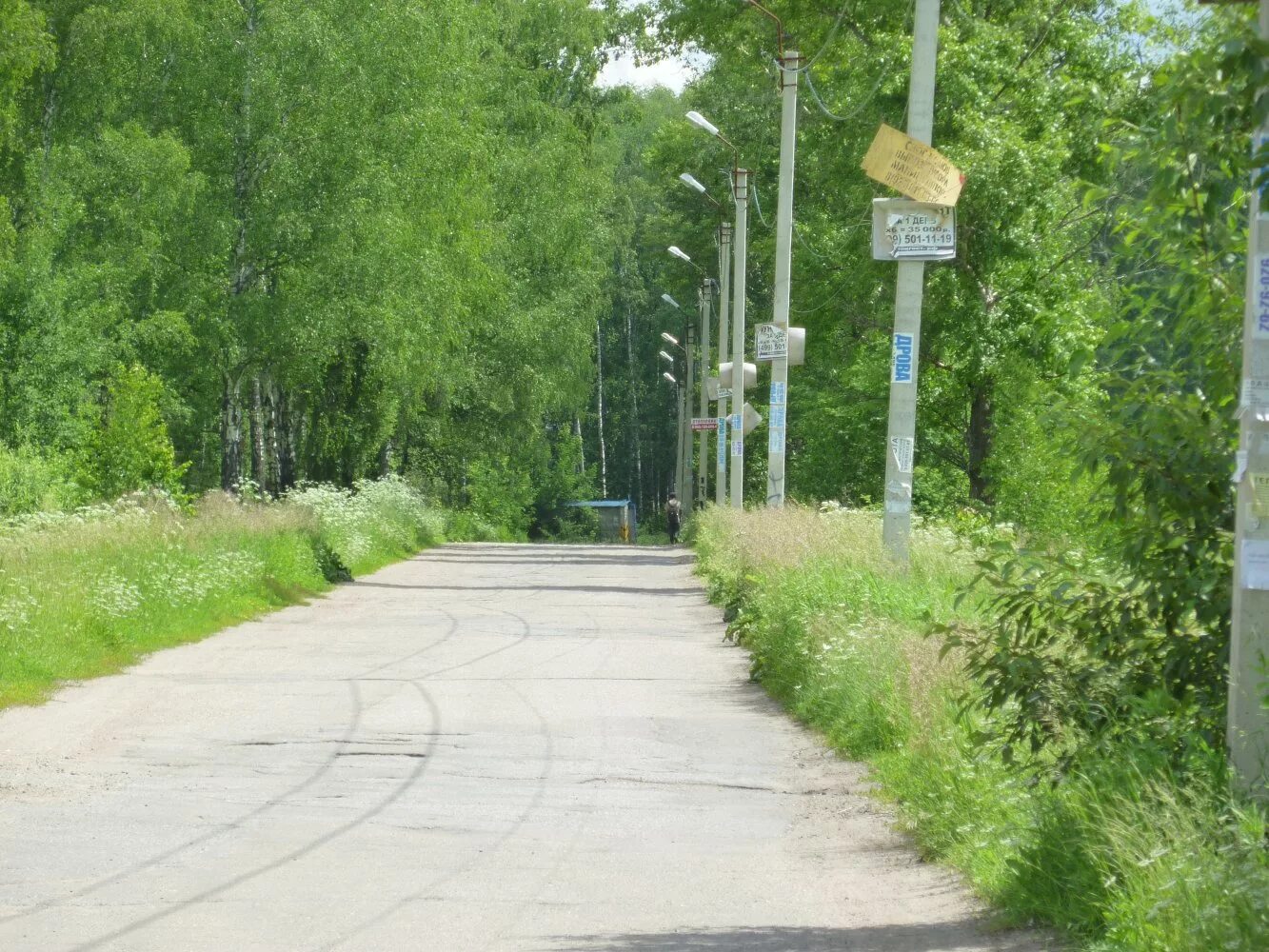 Поселок Березки Чеховский район. Станция Столбовая посёлок Березки. Столбовая дорога. Березки Чехов.