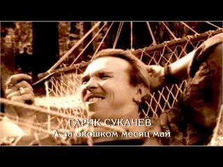 Сукачев май текст