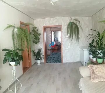 Авито белебей квартиры
