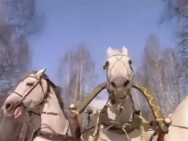 Песня из кинофильма чародеи три белых коня. Фильм чародеи три белых коня. три белых коня долина. лариса долина три белых коня. кинофильм чародеи тройка лошадей.