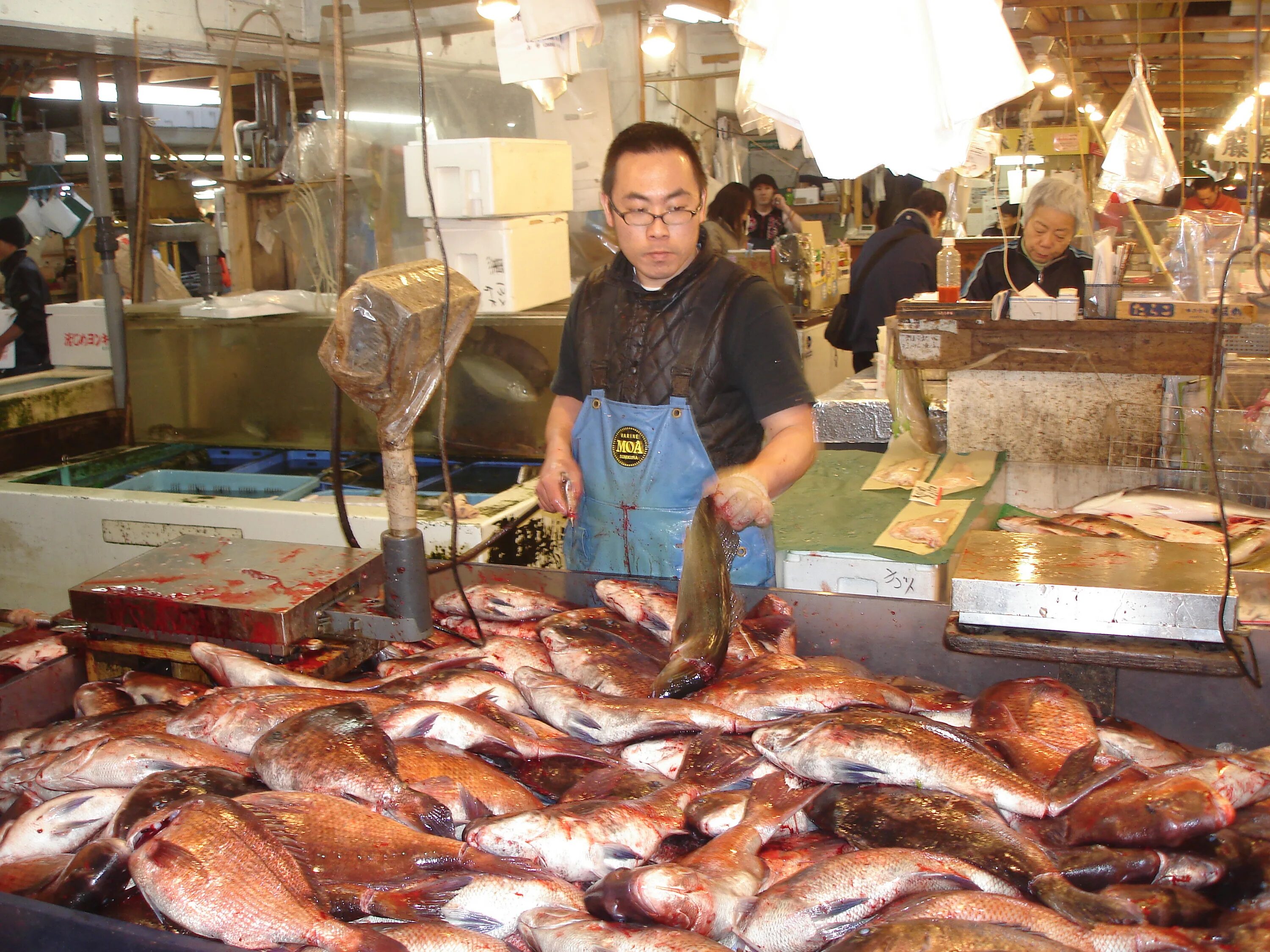 Купили на рынке рыбу. Рыбный рынок Цукидзи. Рыба на рынке. Рыба на базаре. Большой рыбный рынок.