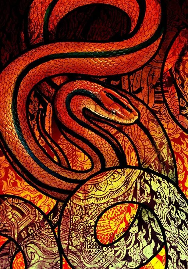 Совместимость огненной змеи. Змея Гарафена. Змеи арт. Красивая змея. Красивые змеи.