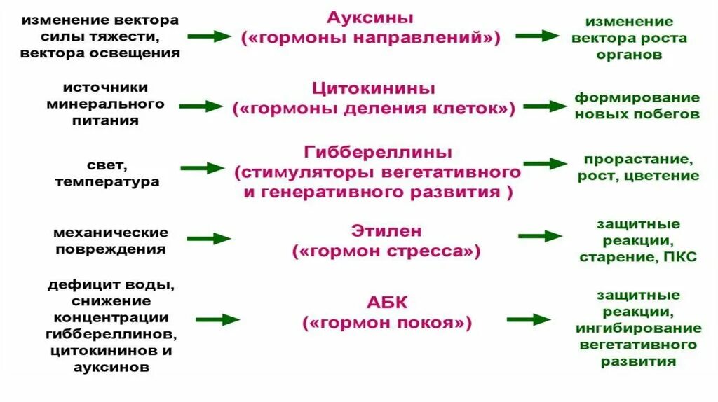 Фитогормоны таблица. Гормоны роста растений. Фитогормоны виды. Синтетические фитогормоны. Гормон ауксин у растений.