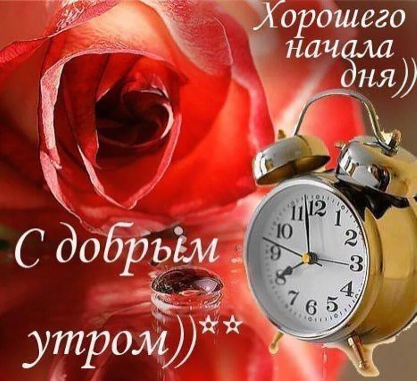 Удачного начала дня