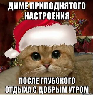 Доброе утро димочка