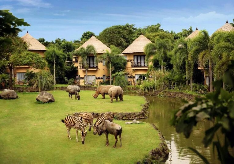 Mara river safari lodge bali. Salt safari el bali inshad. Сафари бали. Отель сафари на бали. Сафари парк бали.