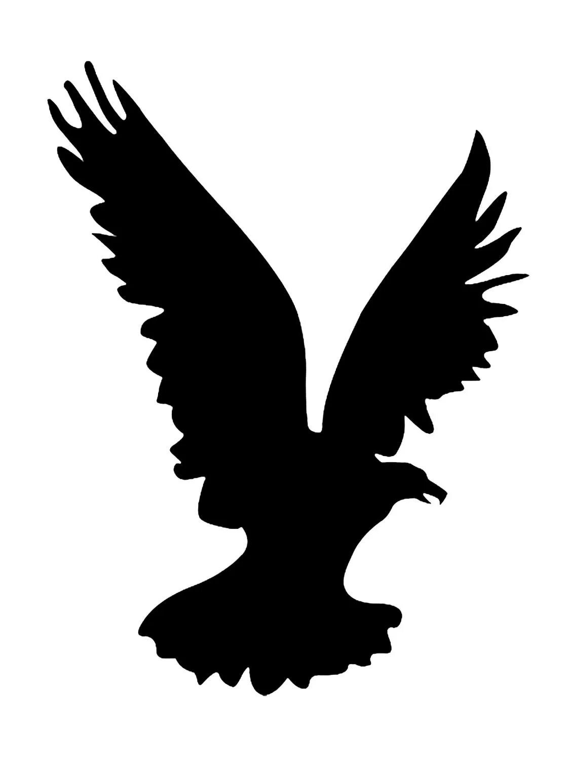 Орел очертания. Силуэты орлов в полете. Силуэт коршуна. Силуэт орла. Силуэт коршуна в полете.