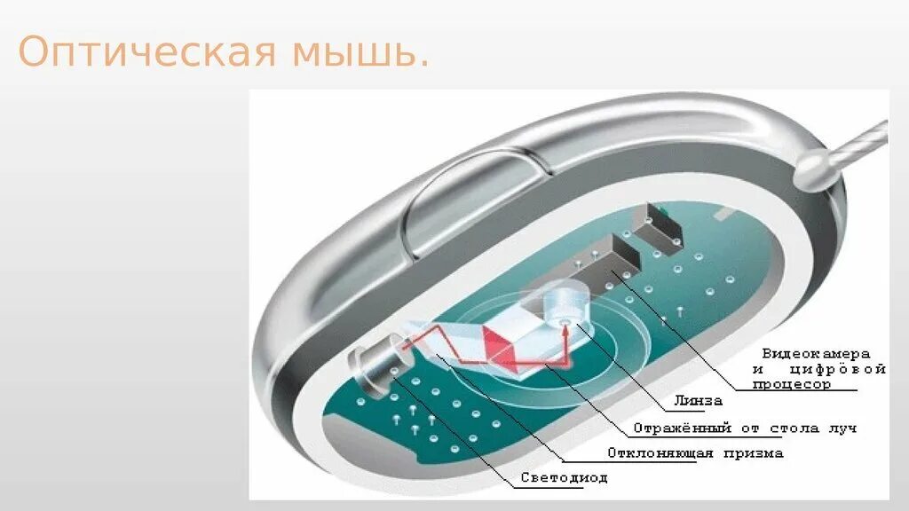 Внутренняя мышь. Устройство оптической мышки. Как работает компьютерная мышь. Конструкция оптической компьютерной мыши. Структура лазерной мыши.