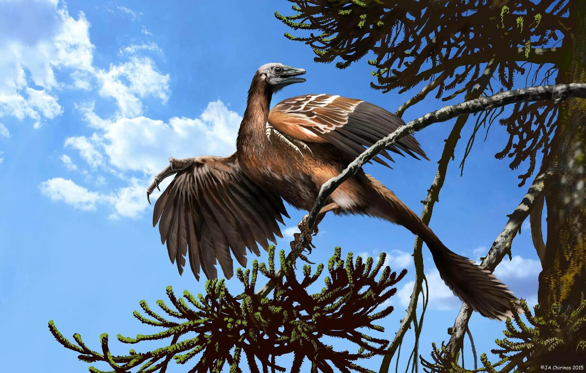 Птица Археоптерикс. Юрский Археоптерикс. Древние птицы Археоптерикс. Археоптерикс динозавр.
