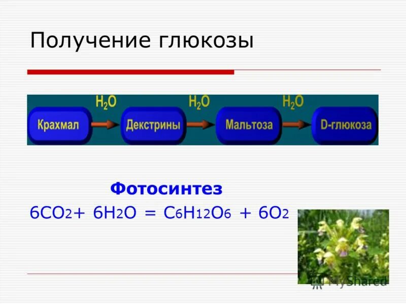 Образование глюкозы в зеленом растении. Получение Глюкозы из крахмала. Фотосинтез Глюкоза. Co2 в глюкозу. Способы получения Глюкозы.