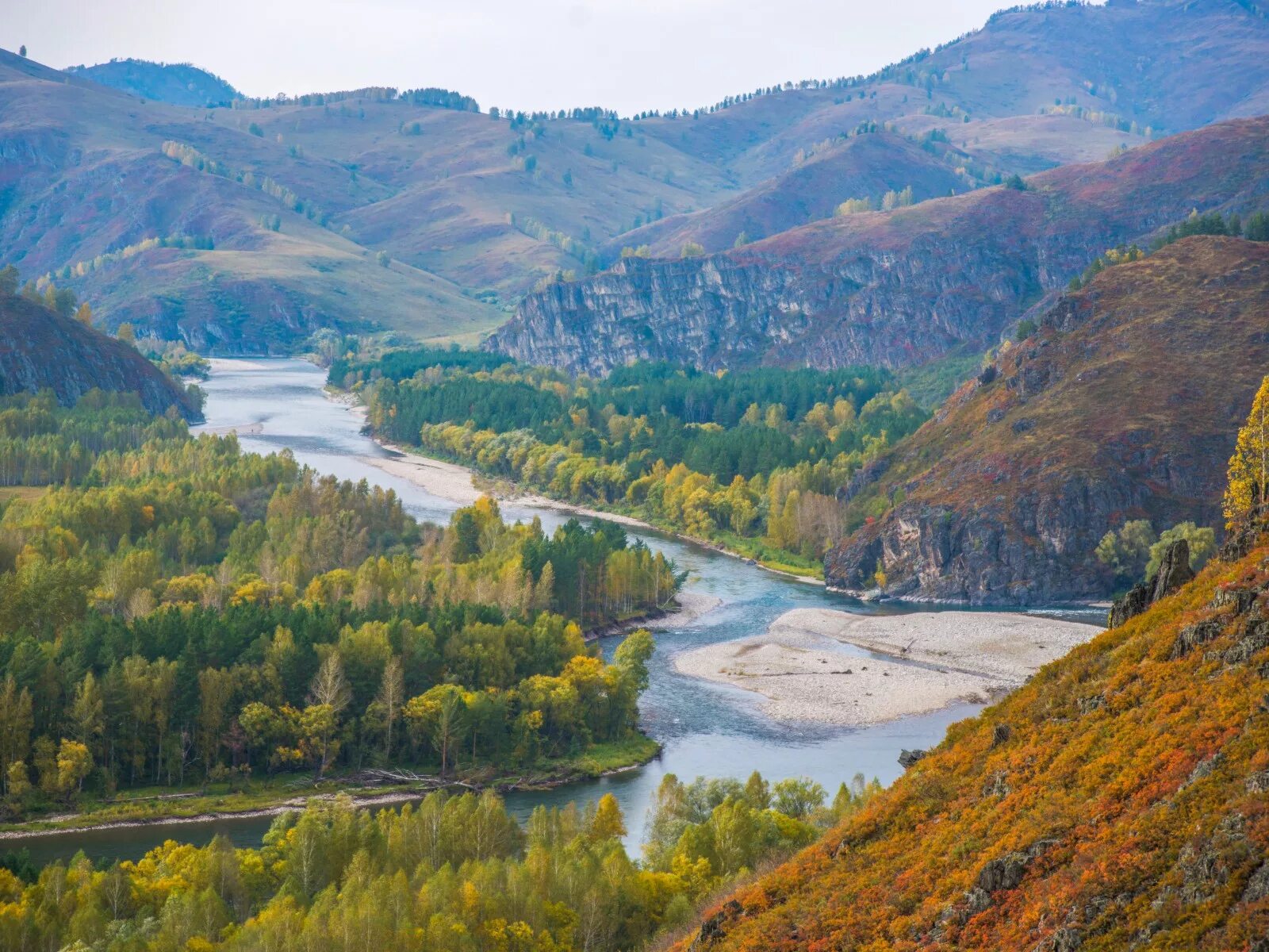 Село ело алтайского края. Река Чарыш Алтайский край. Чарыш горный Алтай. Река Чарыш Чарышский район. Горный Чарыш Алтайский край.