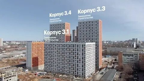 Пик амурская