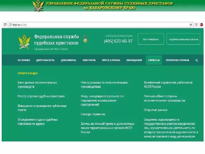 Управление фссп телефон. Реестр отделов судебных приставов. Федеральная служба судебных приставов. Отделение судебных приставов. Деятельность судебных приставов.