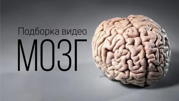 Песня они хотят мои мозги. Мозг прикол. Мозг картинки прикольные.