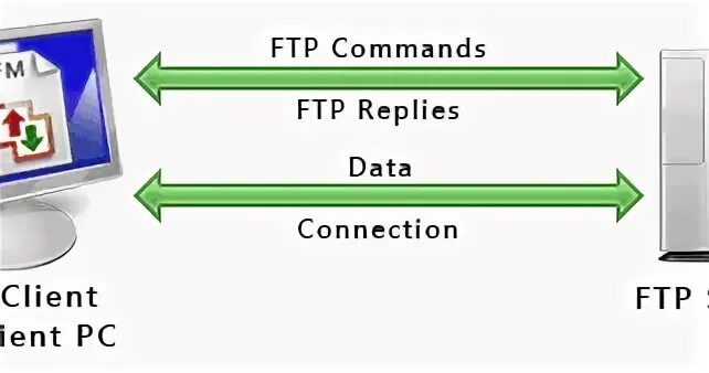 Ftp это в информатике. Ftp это в информатике