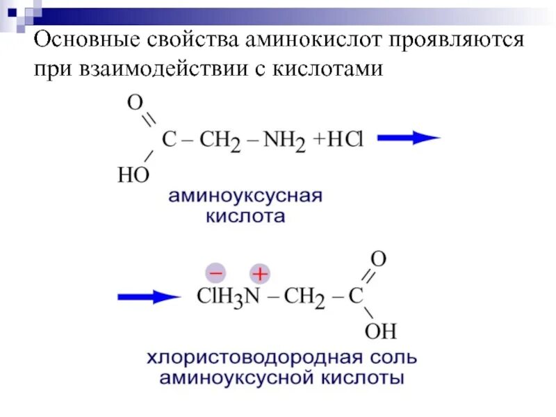 Амины проявляют основные. Состав и номенклатура аминокислот. Основные свойства аминокислот. Основные свойства ами. Основные свойства Аминов.