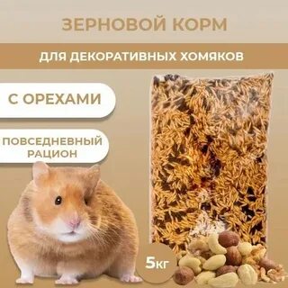 Комбинация хомяк 5 июля