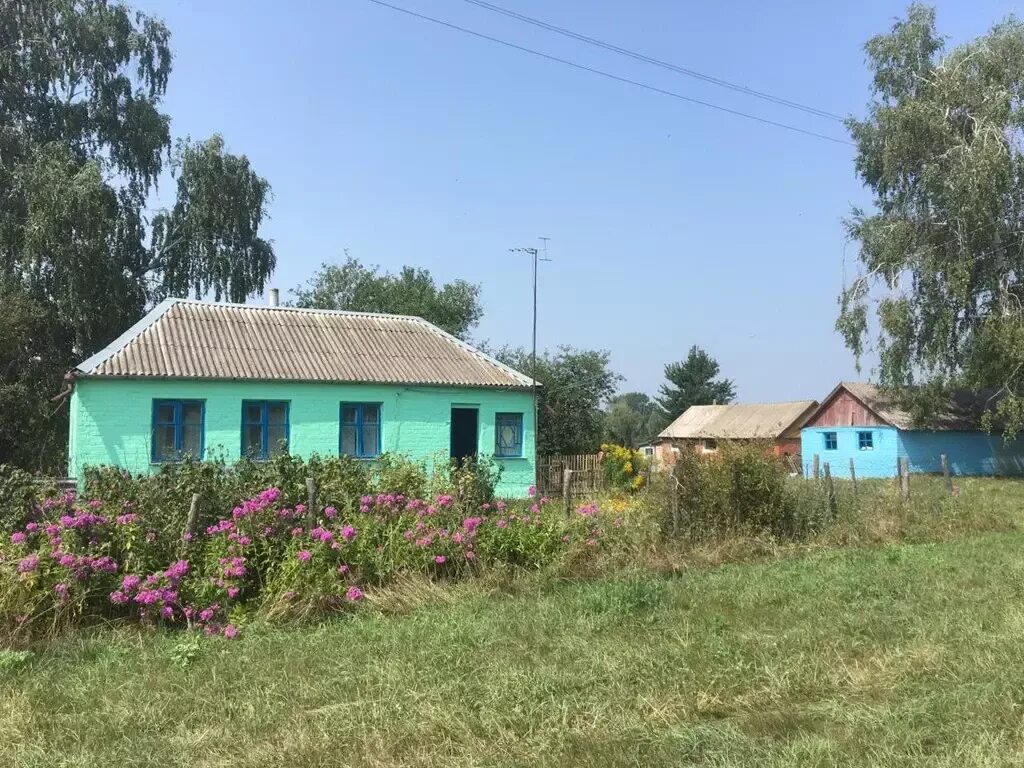 Красные холмы панинский район. Панинский район с. Дом панинский район воронежская. Погода в красных холмах панинского. Панинский район воронежская.