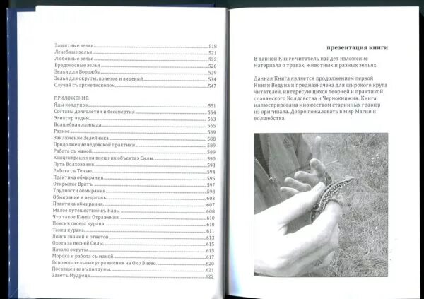 Олег середин ведун. Прозоров александр __ заклятие предков. Ведун книга. Ведун книга 2. Ведун книга.