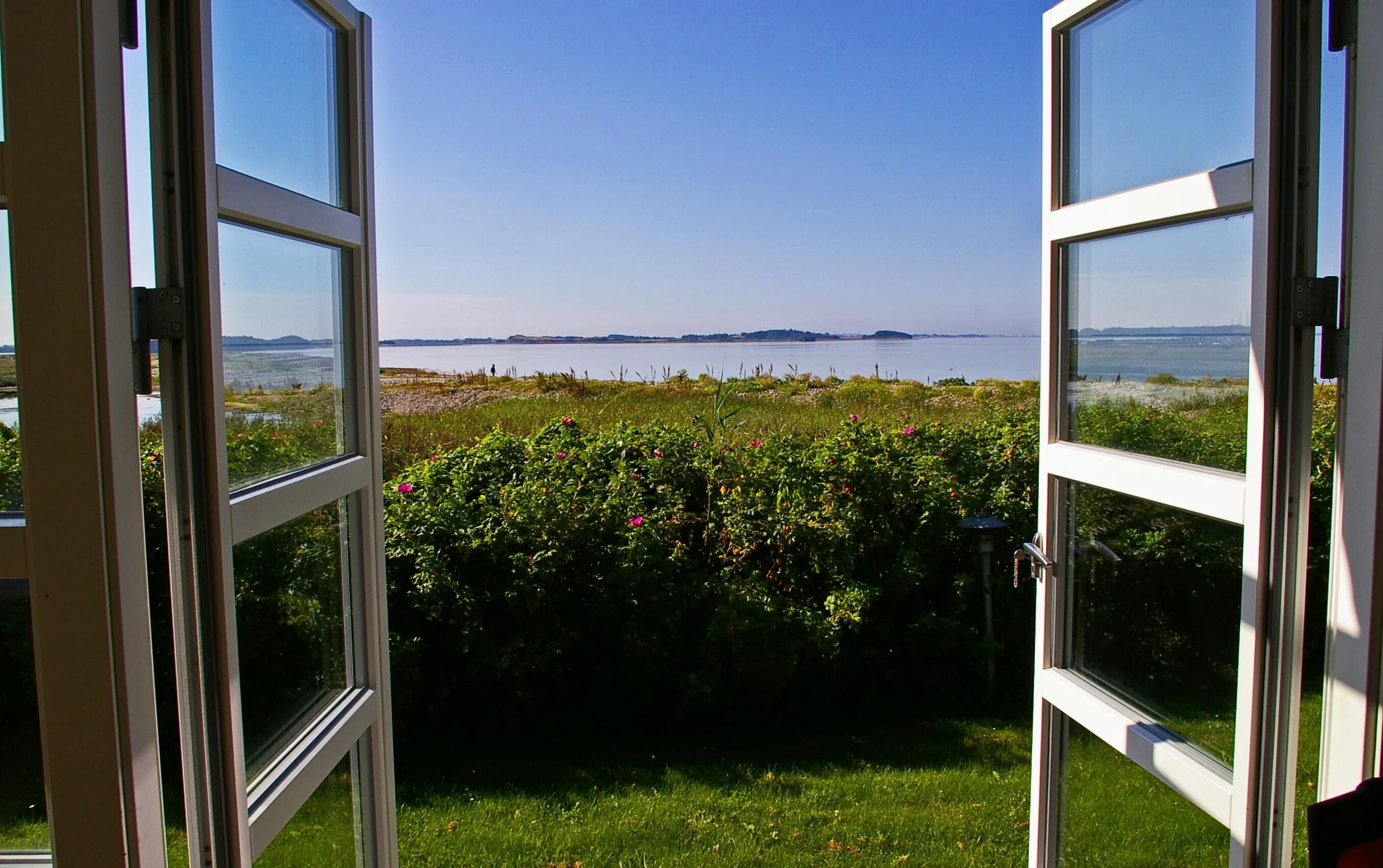 Windows view