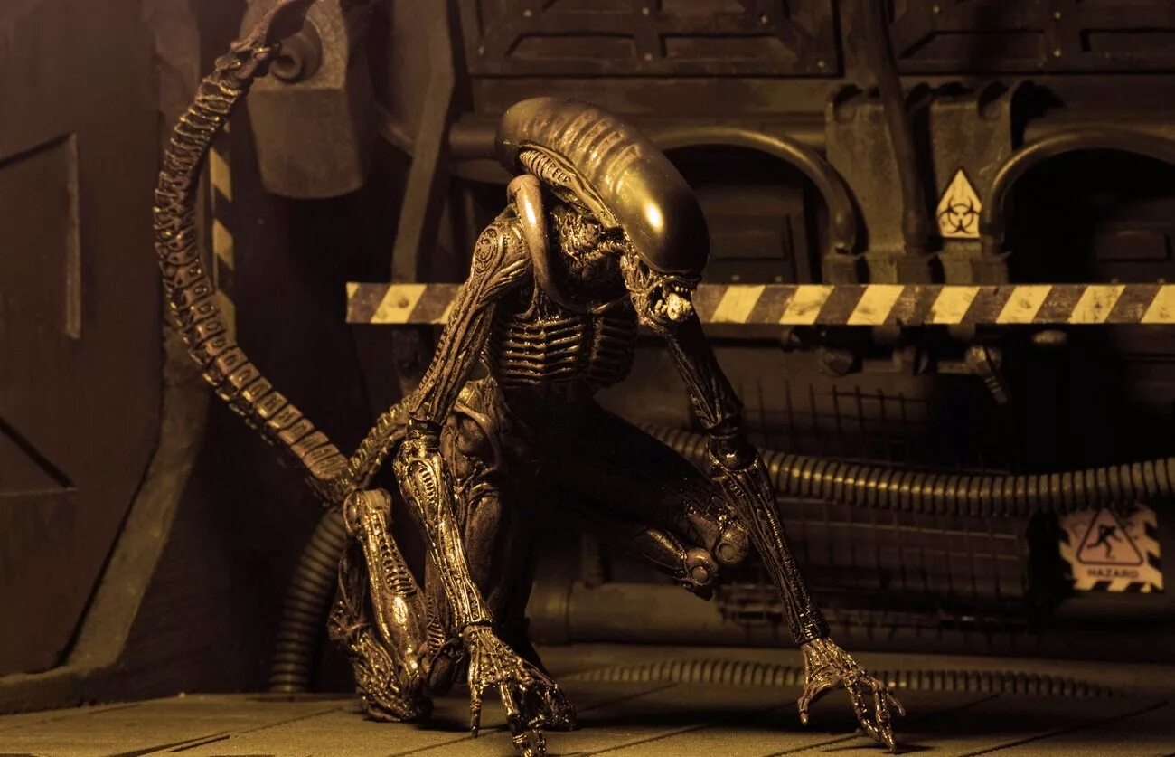 чужой 3 2022. «одиночка». часть 6 ксеноморф пожилой. чужой 3 2022. чужой 3 ксеноморф из собаки.