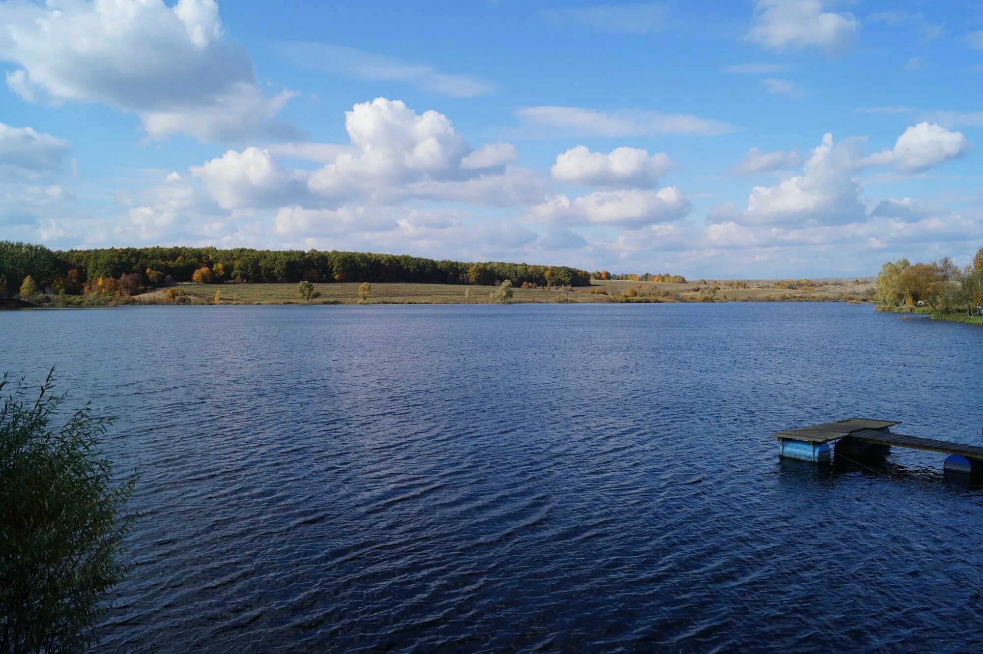 Пруд головищи семилукский район. Головище пруд воронеж. Богоявленский пруд семилукский район. Пруд головищи. Головище.