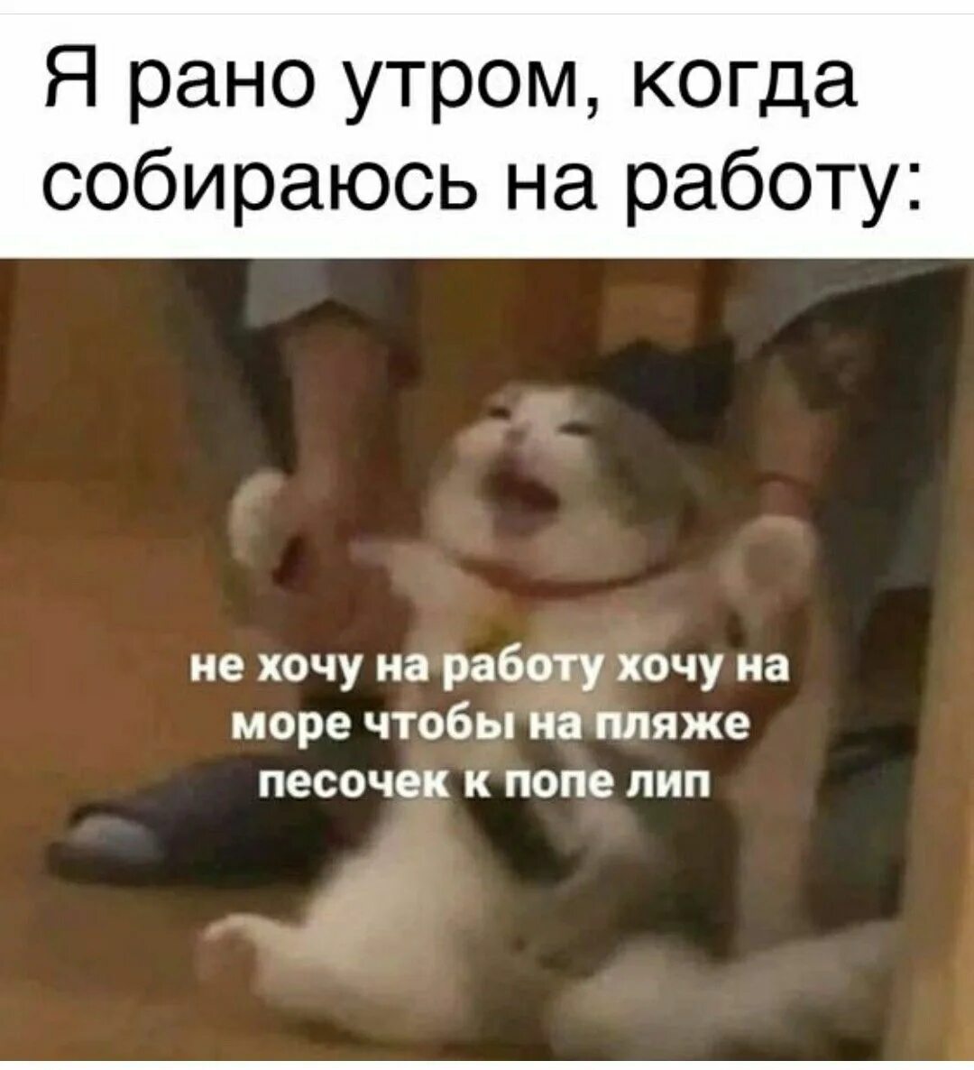 Не хочу работать текст. Не хочу работать текст