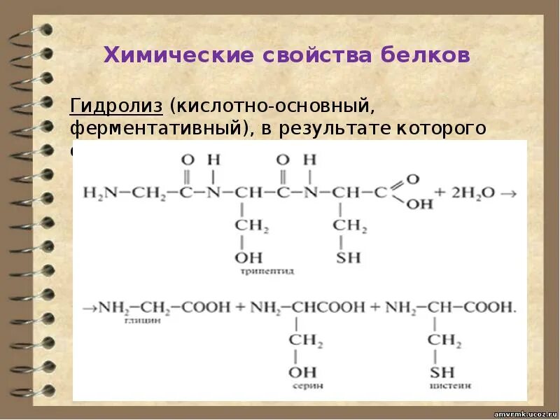 Кислотные белки