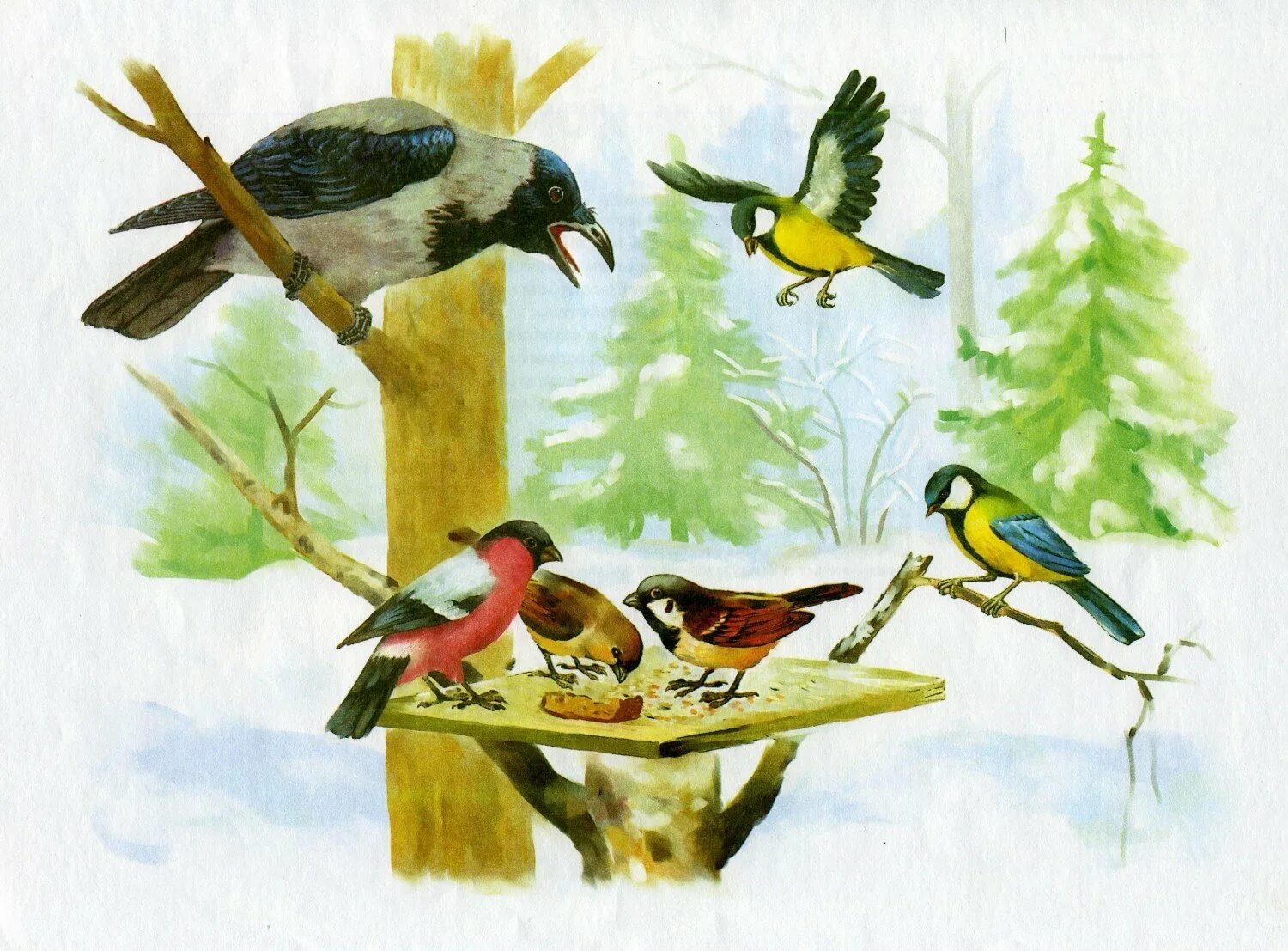 Тема недели встречаем птиц. Нищева зима зимующие птицы. Кормушка для птиц. Кормушки для птиц зимой. Картина у кормушки.
