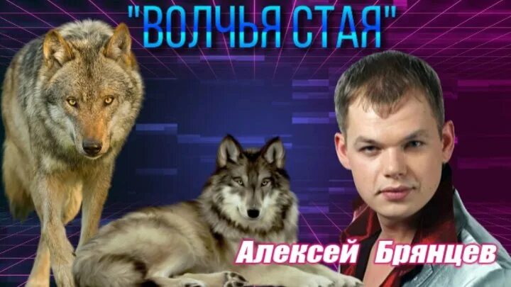 Брянцев волчья. Волчья стая песня. песня волчья стая слова.