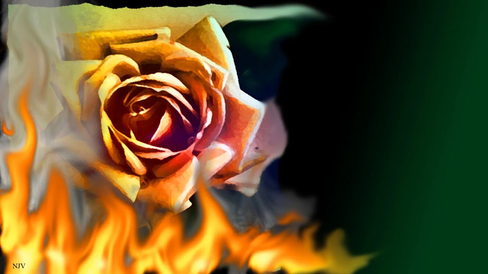 Burnt roses