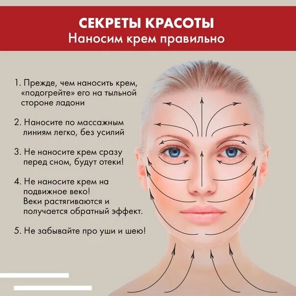 Массажные линии на лице для массажа. Правильное нанесение крема для век. Схема нанесения крема крема для лица. Нанесение крема по массажным линиям лица. Массажные линии лангера на лице.