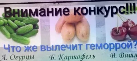 Картофель вишня