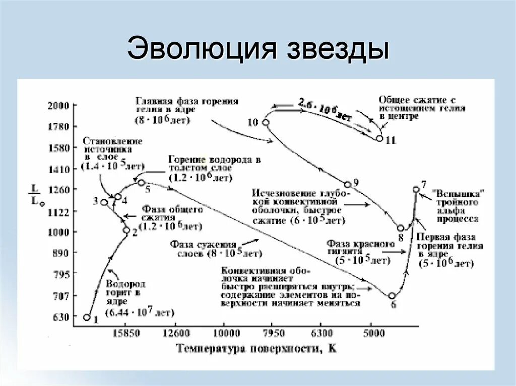 1 эволюция звезд. Эволюция звезд. Стадии развития звезды. Схема эволюции звезд. Схема эволюции звезд разной массы.