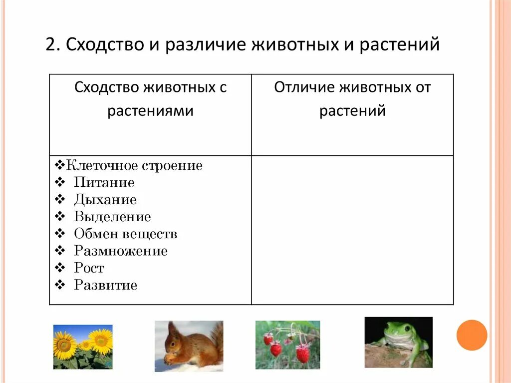 Чем животные отличаются от растений кратко. Различия между животными и растениями биология 7. Различие между животными и растениями таблица 7. Сходство и различие животных и растений биология 7 класс таблица. Таблица признаки сходства и различий растений и животных.