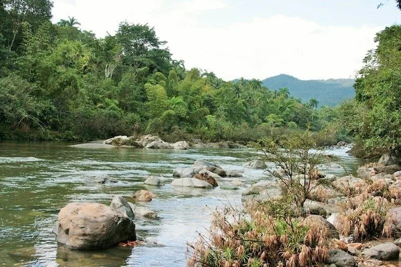 Река Кауто на Кубе. Альмендарес (река). Анабанилья Куба озеро. Река Альмендарес на Кубе.