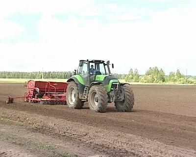 Агрофирма кировская
