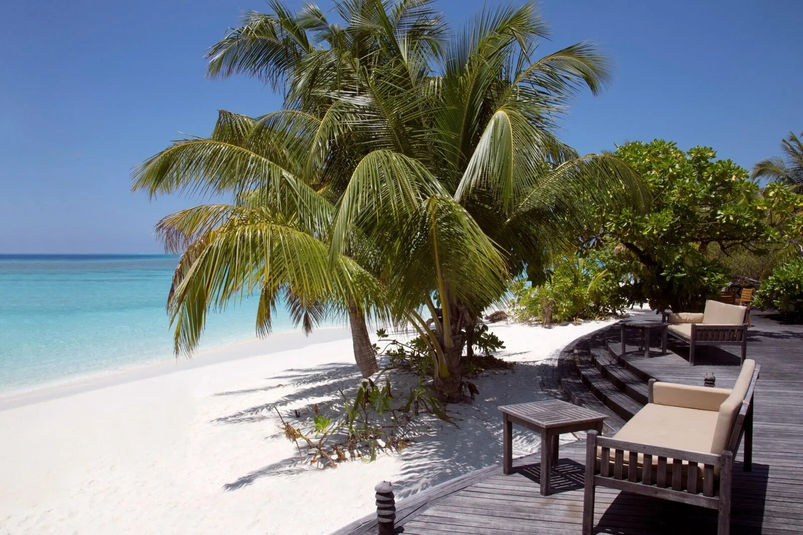 Coco мальдивы. Coco palm мальдивы. coco palm dhuni kolhu 4 баа атолл. coco palm dhuni kolhu maldives. coco palm dhuni kolhu 5 мальдивские острова баа атолл.