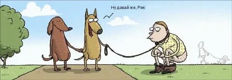 В лесу где все наоборот