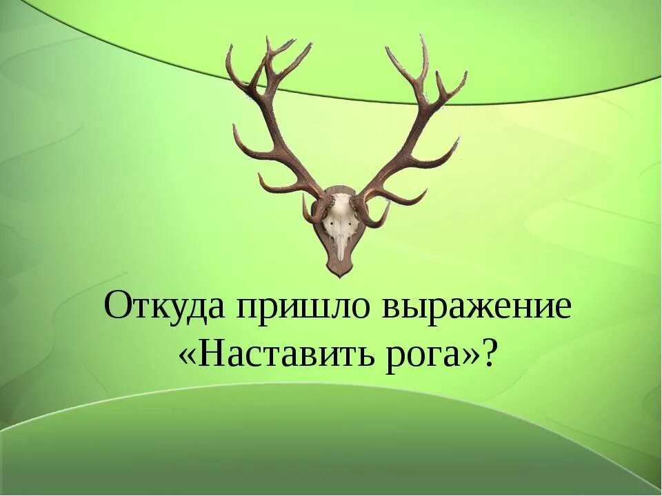Наставлять значение. Выражение наставить рога. наставления рога. наставить рога происхождение. наставлять рога фразы.