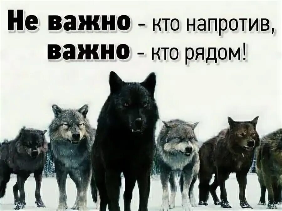 Не важно кто человек кем является. Не важно кто человек кем является